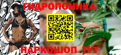 Альфа ПВП Краснознаменск