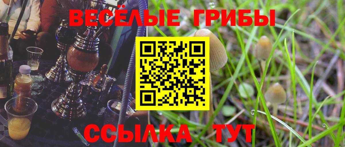 Галлюциногенные грибы мицелий  Вход с VPN  Кирово-Чепецк 